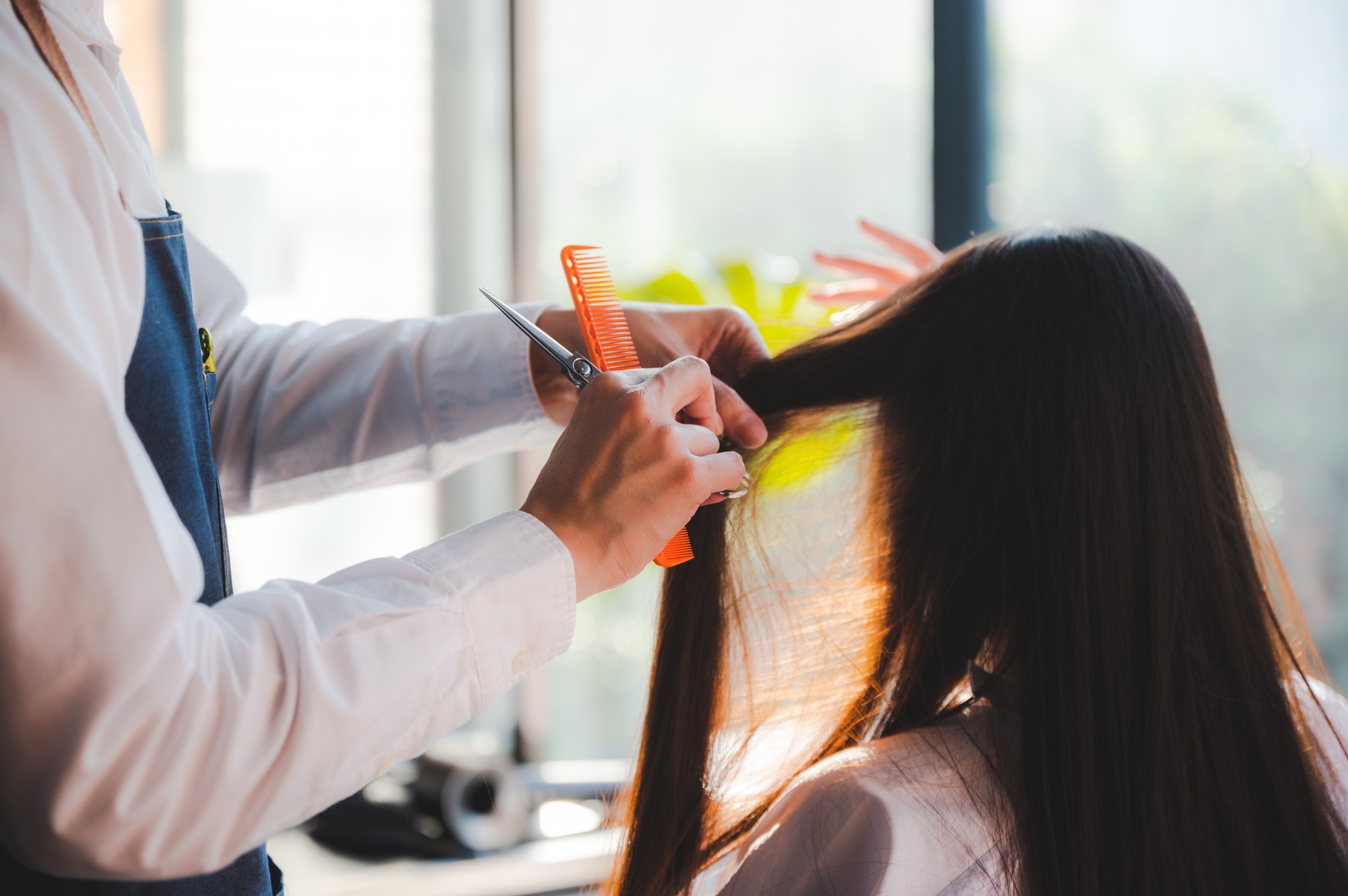 stylist cutting woman's hair in salon, Hairdresser coiffure trimming brown hair with scissors